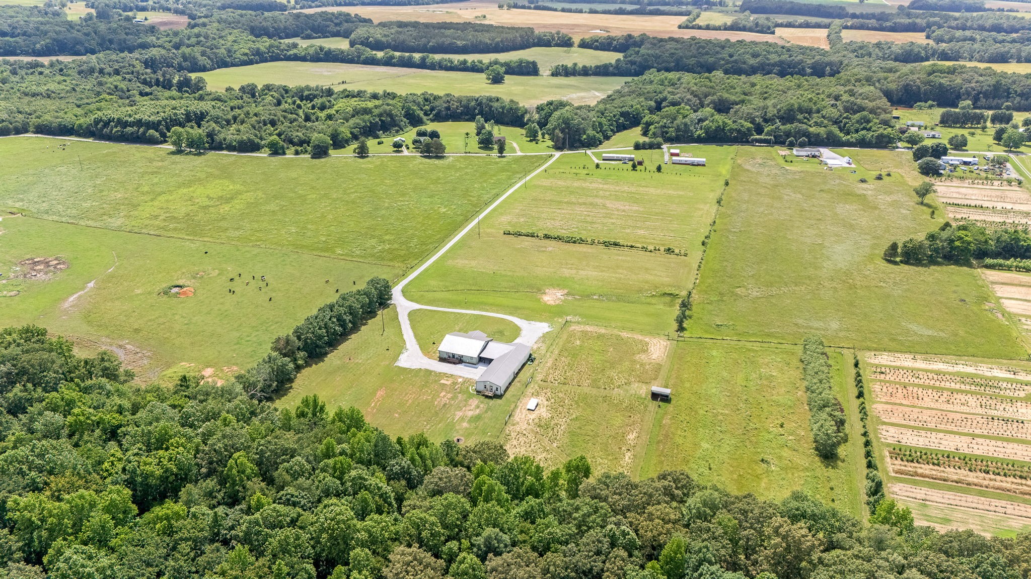 240 Firefly Lane Morrison, TN 37357 - Photo 69 of 74