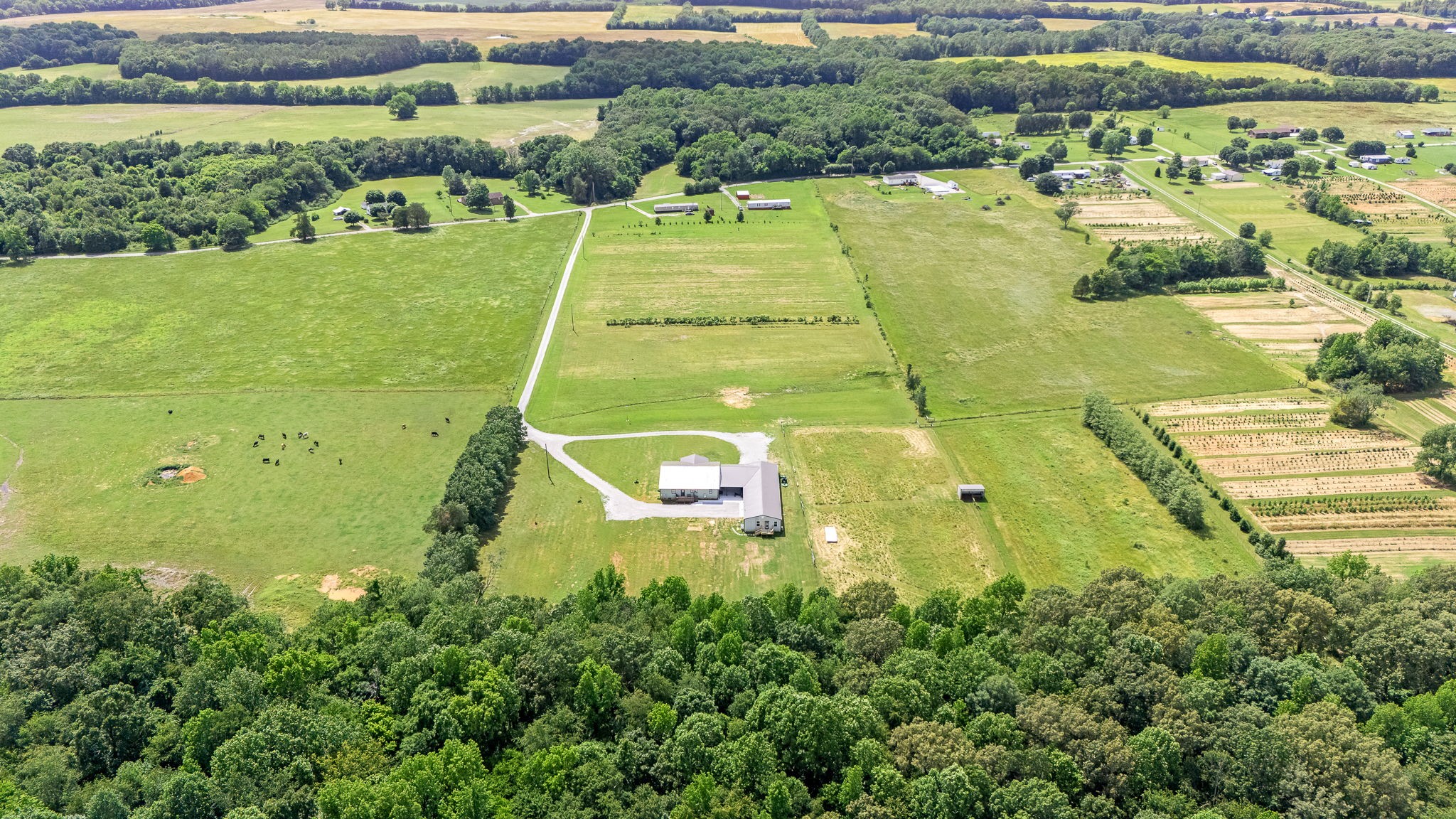 240 Firefly Lane Morrison, TN 37357 - Photo 70 of 74