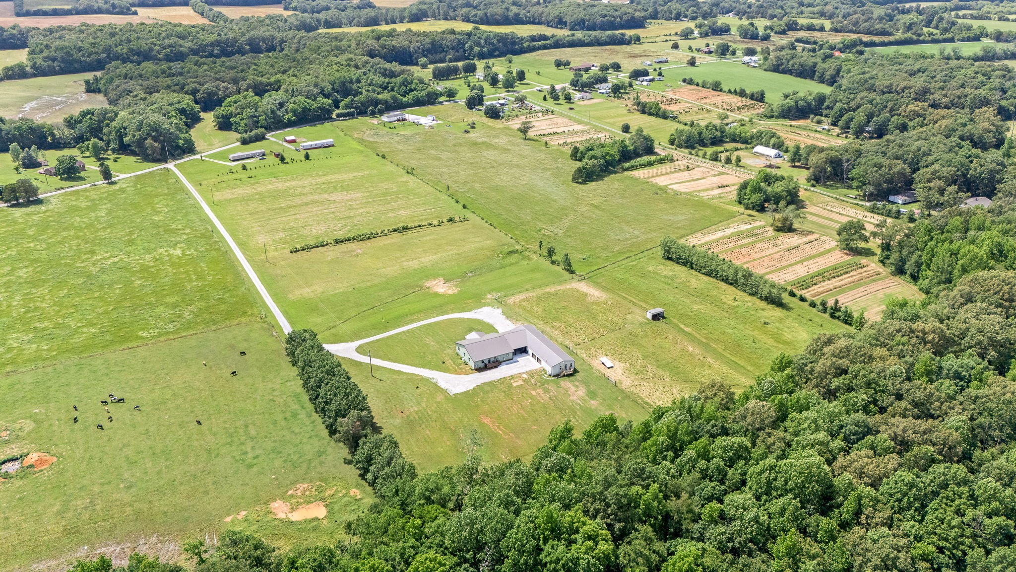 240 Firefly Lane Morrison, TN 37357 - Photo 71 of 74