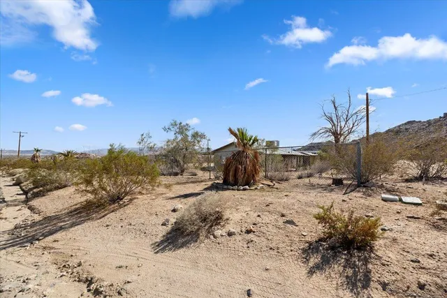 a view of a dry yard with wooden fence