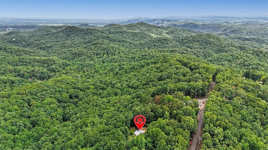 1002 Raccoon Ridge Northeast Ranger, GA 30734 - Photo 45 of 77