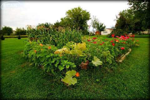 2011 Kings Mill Road Lapeer, MI 48446 - Photo 25 of 30 20449764-24.JPG