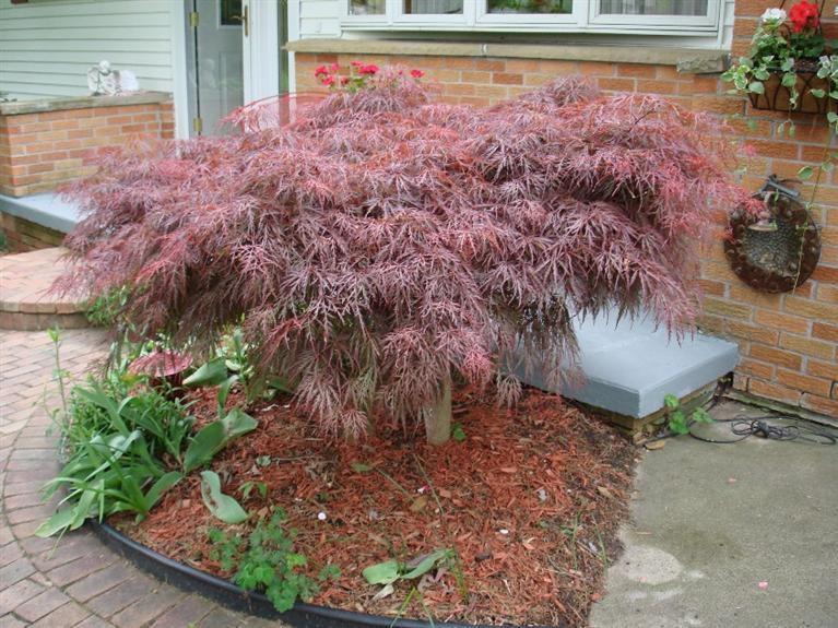 7060 Textile Road Ypsilanti, MI 48197 - Photo 26 of 28 Photo 26