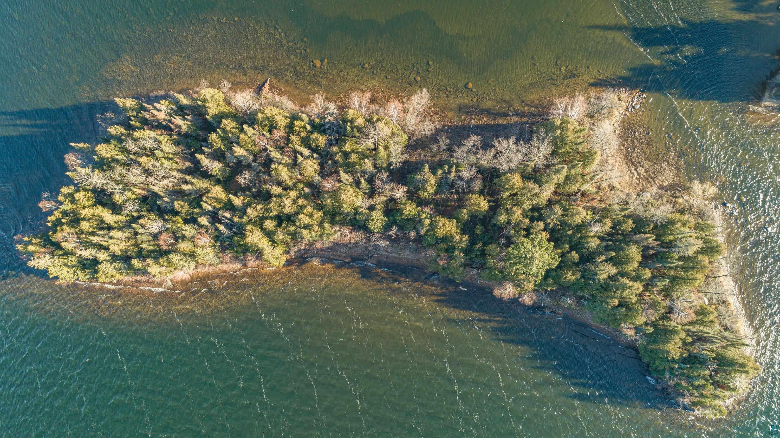 Tbd Tbd Shagawa Lake Ely, MN 55731 - Photo 22 of 28