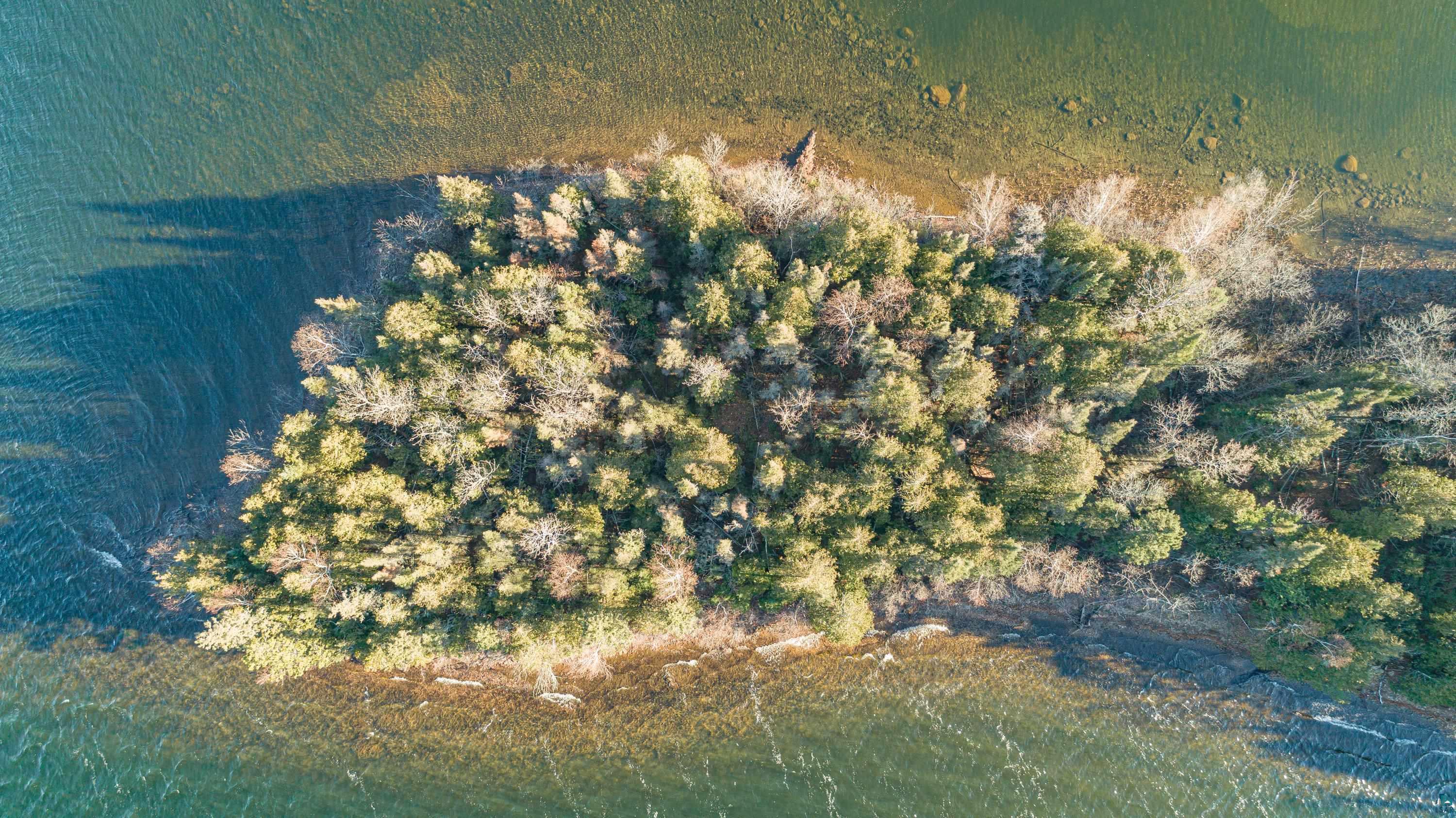 Tbd Tbd Shagawa Lake Ely, MN 55731 - Photo 23 of 28