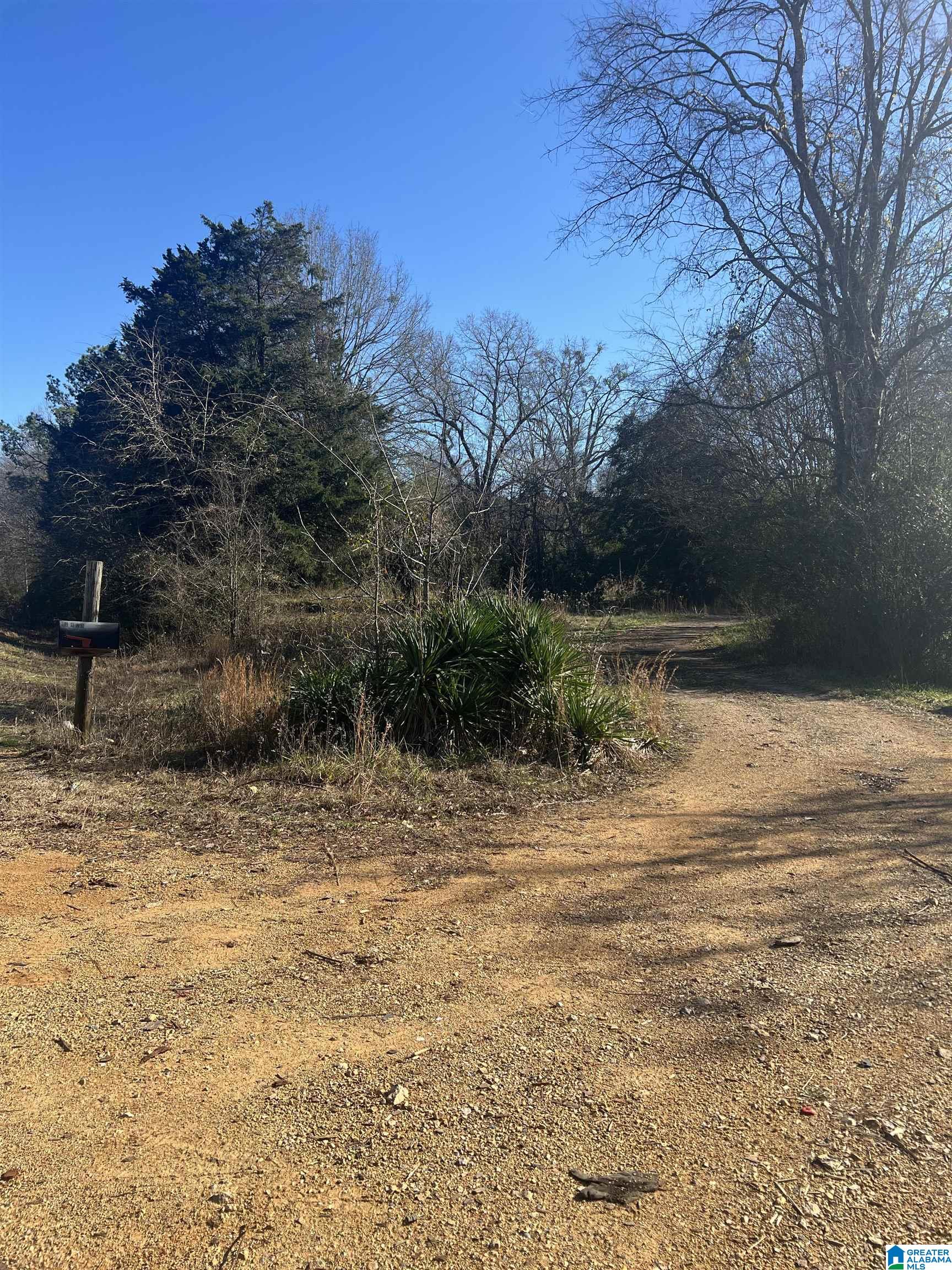 9357 Plant Road Alpine, AL 35014 - Photo 4 of 16