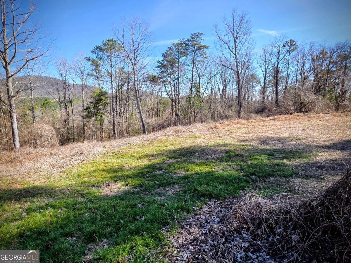 0 Cowart Mountain Tract 2 Road Jasper, GA 30143 - Photo 6 of 19