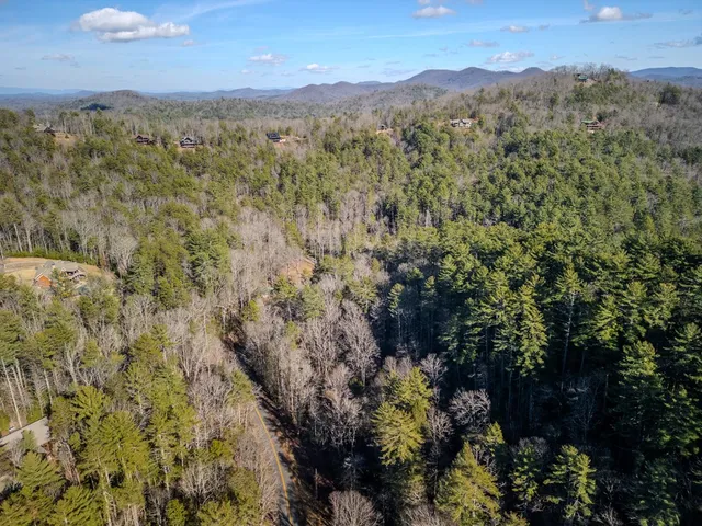 $795,000 | 100 Stanley Creek Crossing, Cherry Log, GA 30522