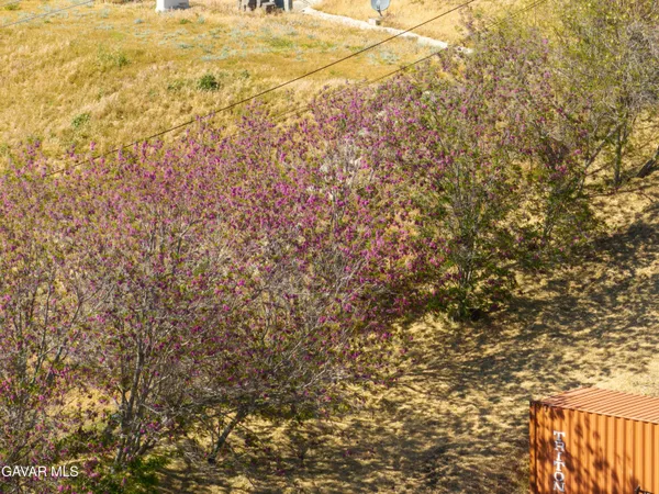 $999,999 | 9065 Elizabeth Lake Road, Leona Valley, CA 93551