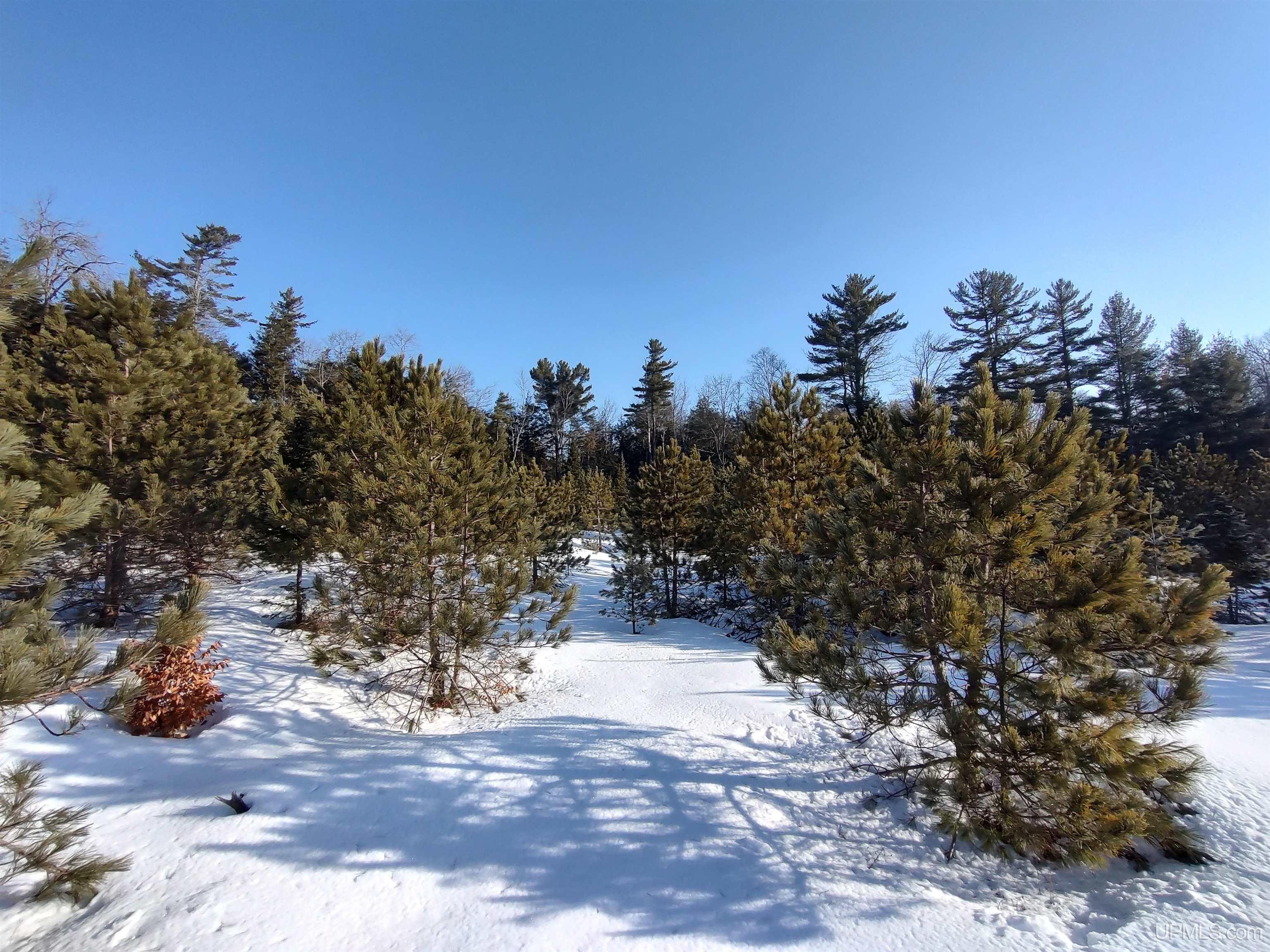 40-acres Gierke Road Manistique, MI 49854 - Photo 10 of 39