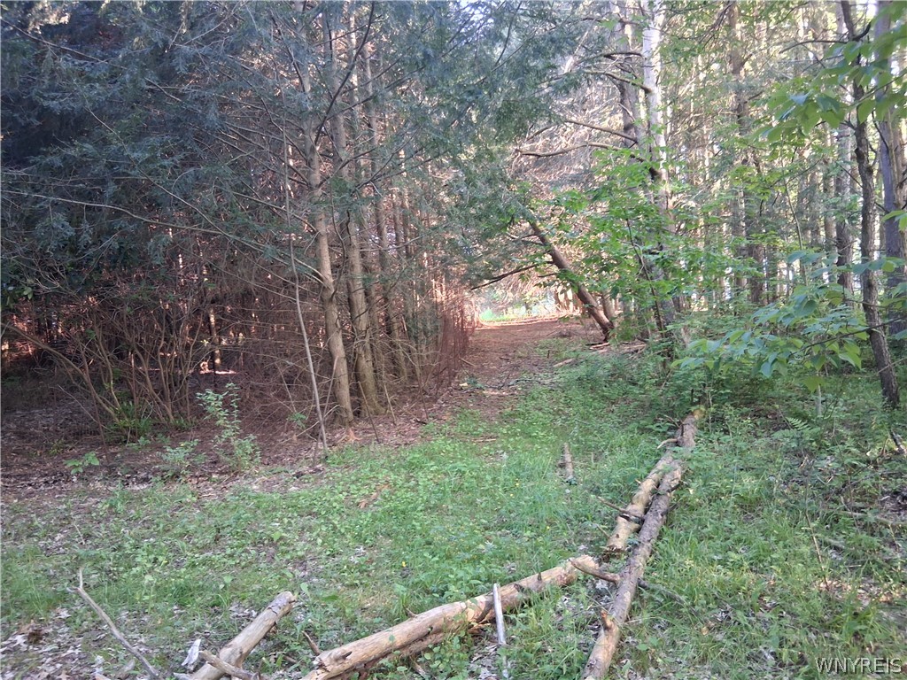 9190 Ball Road Otto, NY 14719 - Photo 31 of 31
