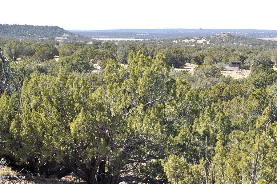 2800 Zaidee Road Show Low, AZ 85901 - Photo 12 of 16
