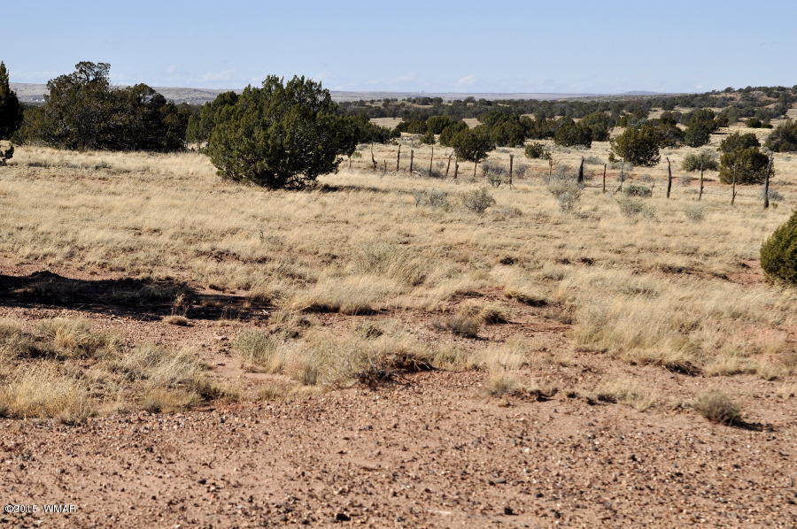 2800 Zaidee Road Show Low, AZ 85901 - Photo 13 of 16