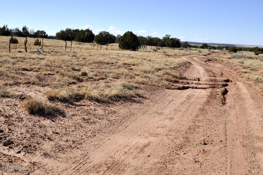 2800 Zaidee Road Show Low, AZ 85901 - Photo 14 of 16