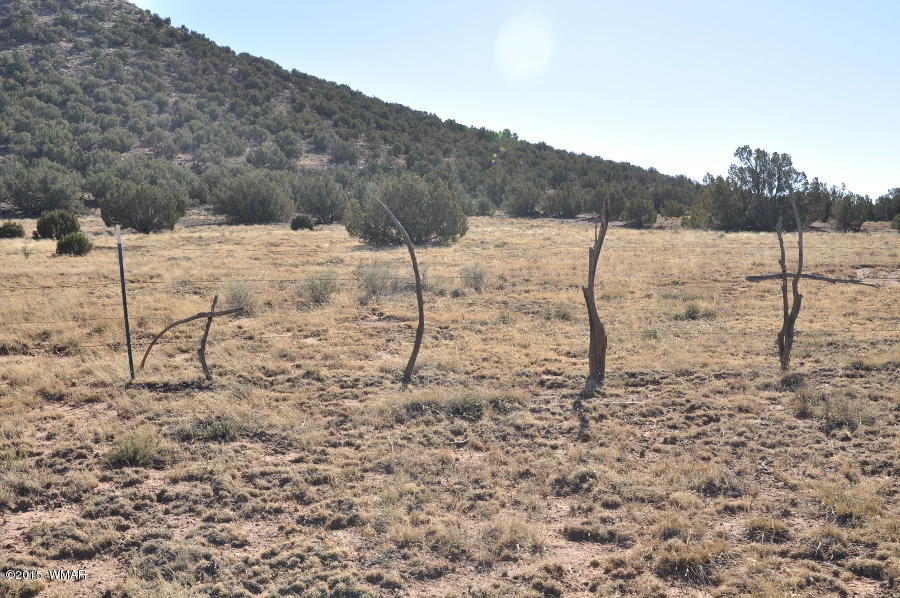 2800 Zaidee Road Show Low, AZ 85901 - Photo 15 of 16