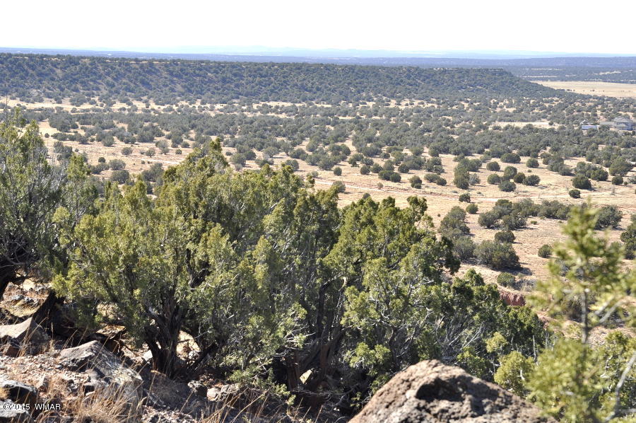 2800 Zaidee Road Show Low, AZ 85901 - Photo 16 of 16