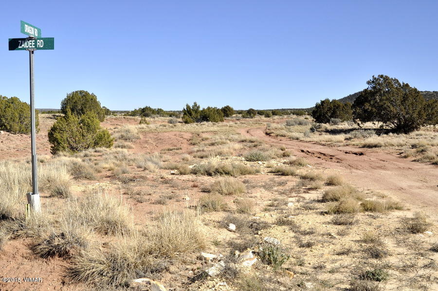 2800 Zaidee Road Show Low, AZ 85901 - Photo 6 of 16