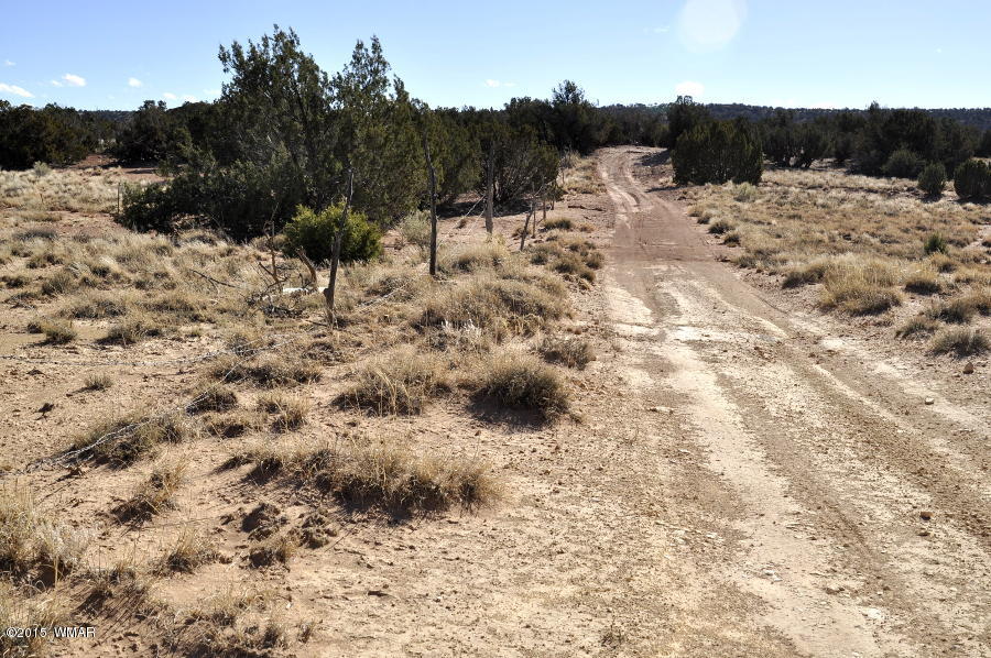 2800 Zaidee Road Show Low, AZ 85901 - Photo 7 of 16