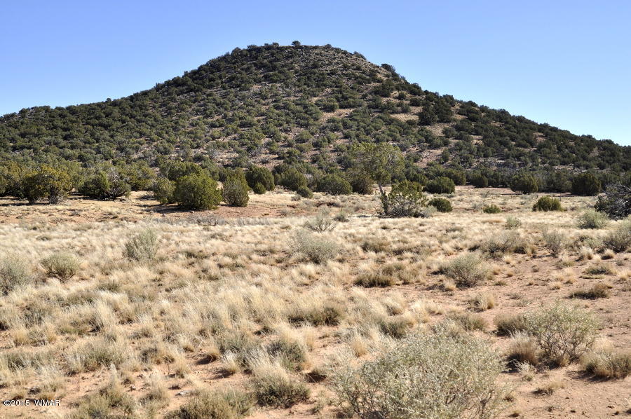 2800 Zaidee Road Show Low, AZ 85901 - Photo 8 of 16