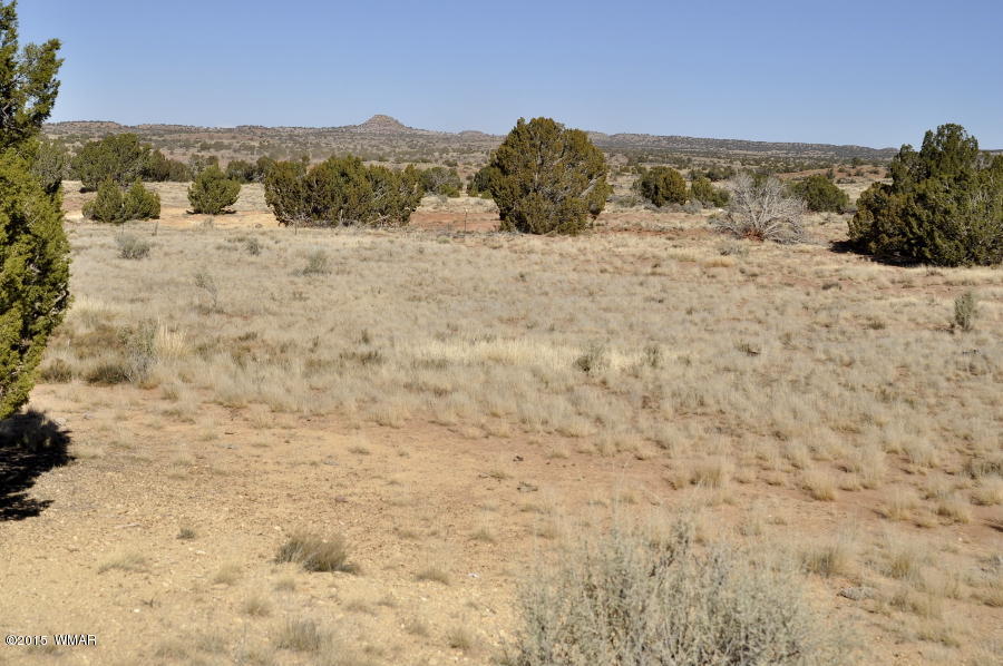 2800 Zaidee Road Show Low, AZ 85901 - Photo 9 of 16