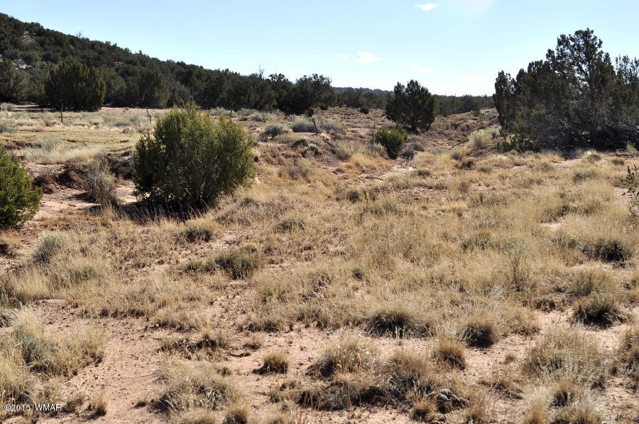 2800 Zaidee Road Show Low, AZ 85901 - Photo 10 of 16