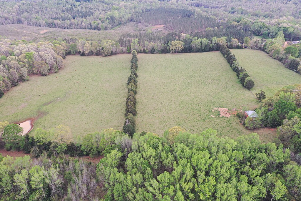 473 Williamson Hill Road Donalds, SC 29638 - Photo 32 of 33 Gallery Image 32