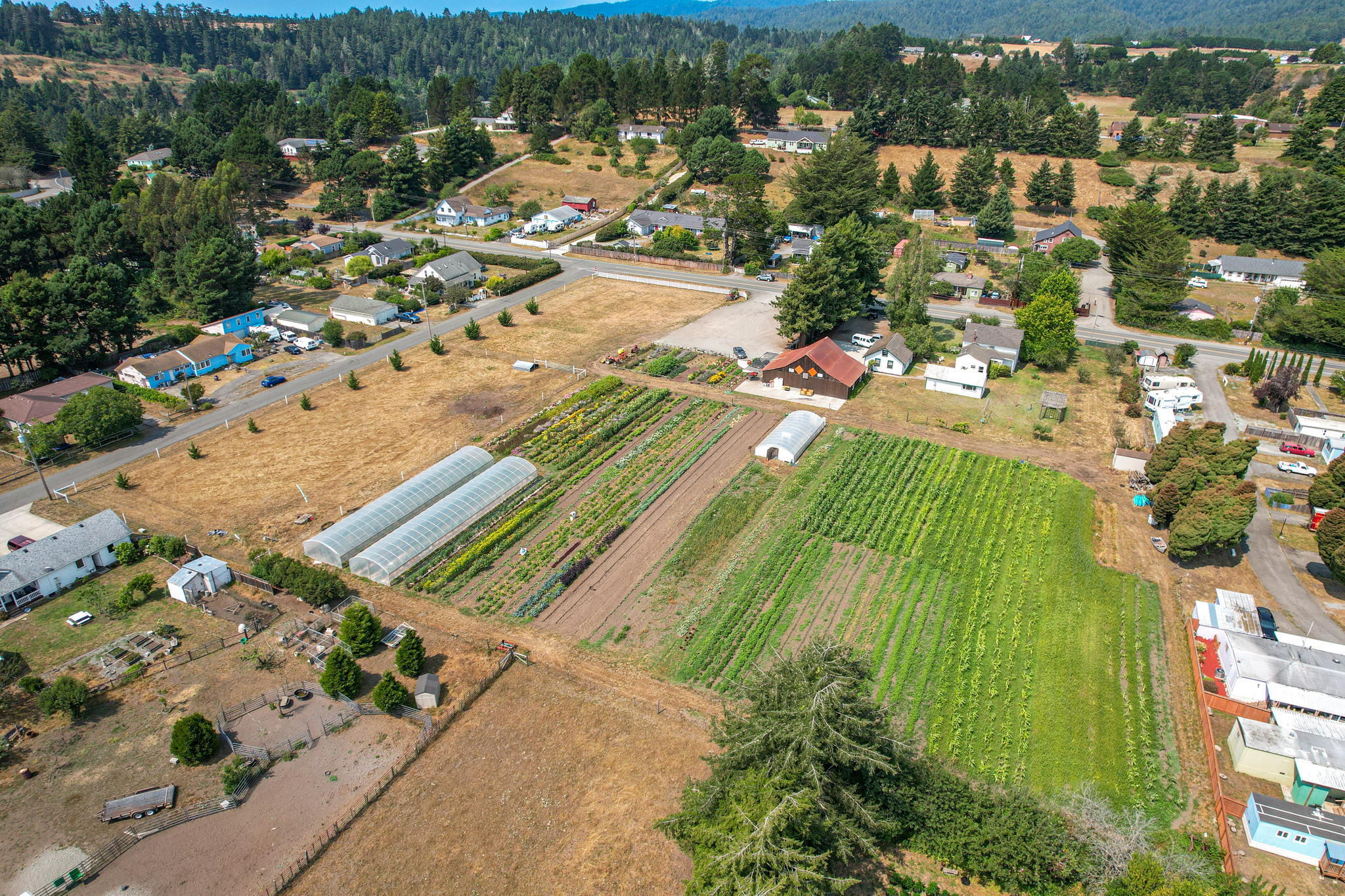 6786 Rohnerville Road Hydesville, CA 95547 - Photo 2 of 72 2-web-or-mls-4
