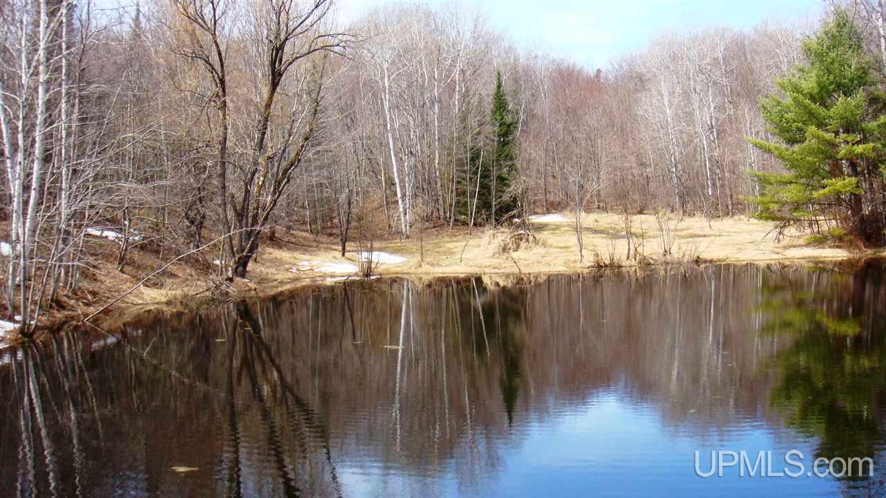 39819 Lower Worham Road Chassell, MI 49916 - Photo 18 of 31 Gallery Image 18