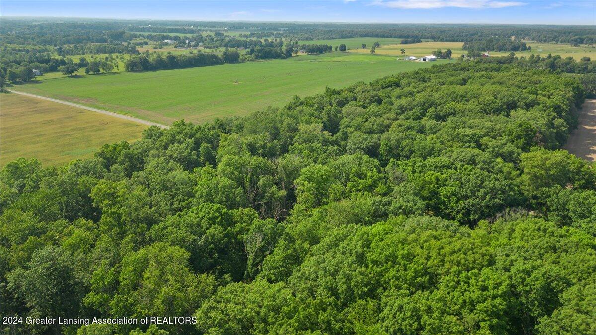 5589 Stimson Road Eaton Rapids, MI 48827 - Photo 39 of 46 22-Media Jett - 06