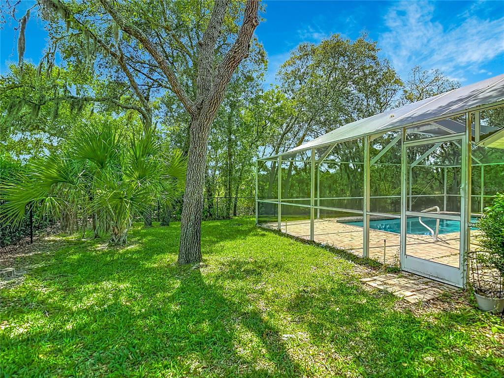 9433 Wilderness Trail Weeki Wachee, FL 34613 - Photo 38 of 42