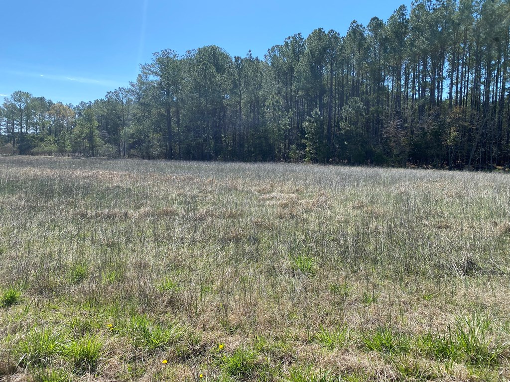 0 Broadway Road, Unit 5LOTS Onancock, VA 23417 - Photo 2 of 7