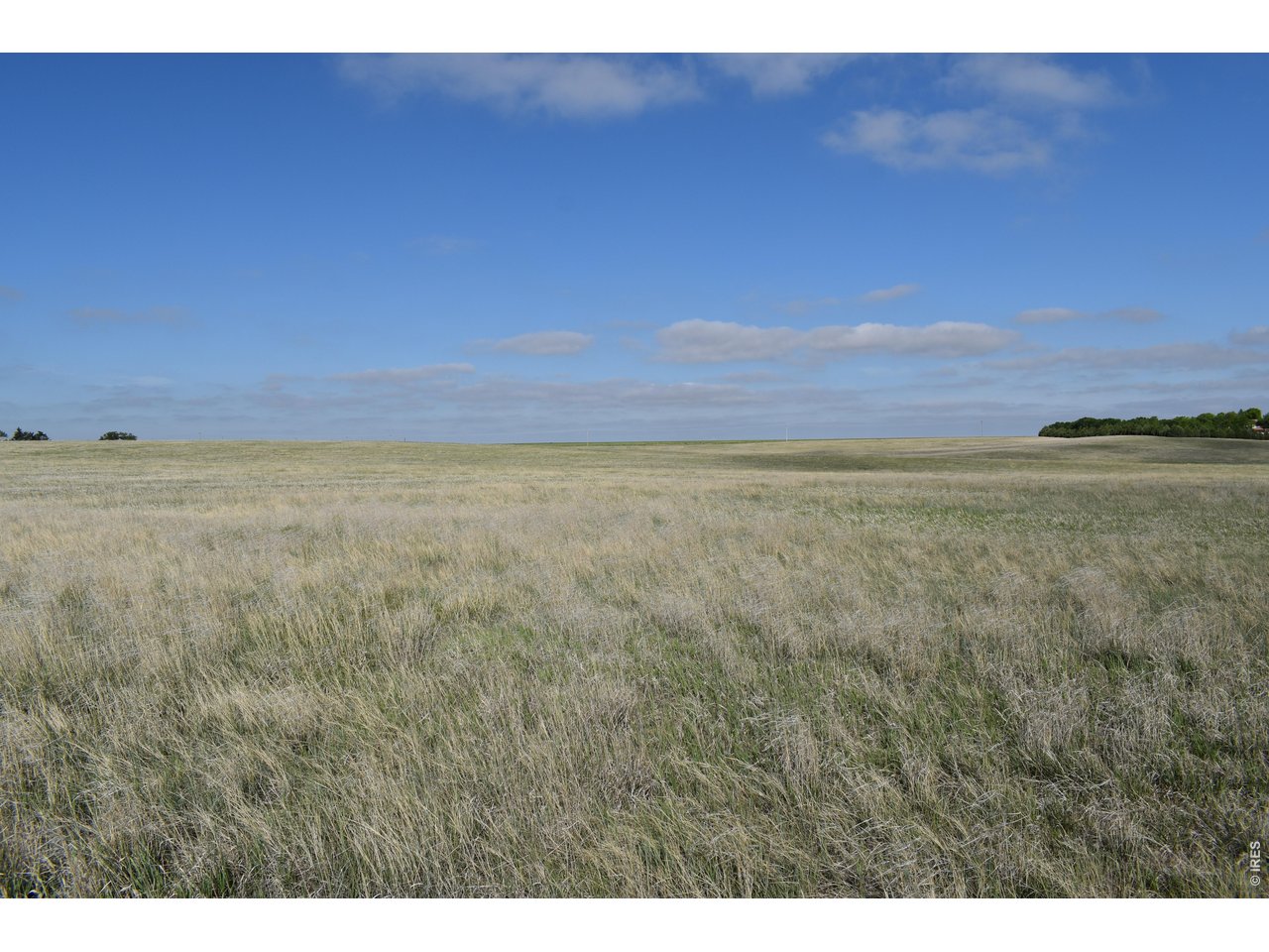 County Road Akron, CO 80720 - Photo 5 of 13 Looking West