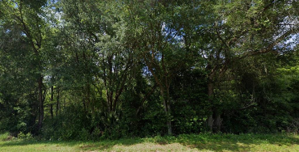 Rose Road Altoona, FL 32702 - Photo 1 of 1 Gallery Image 1
