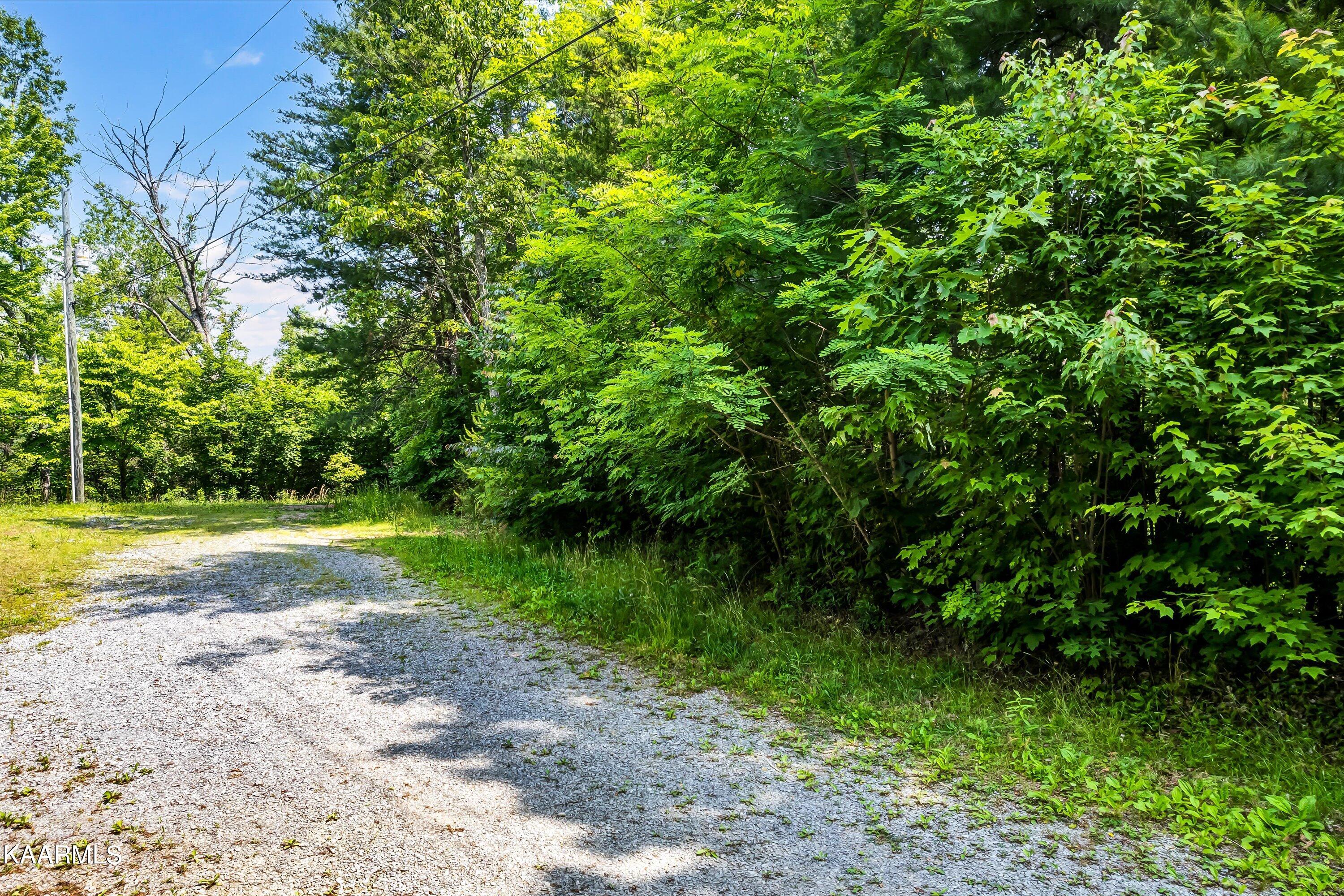 Lot 3 Clearview Road Sevierville, TN 37862 - Photo 1 of 11 01-Clearview Dr Lot 3-1