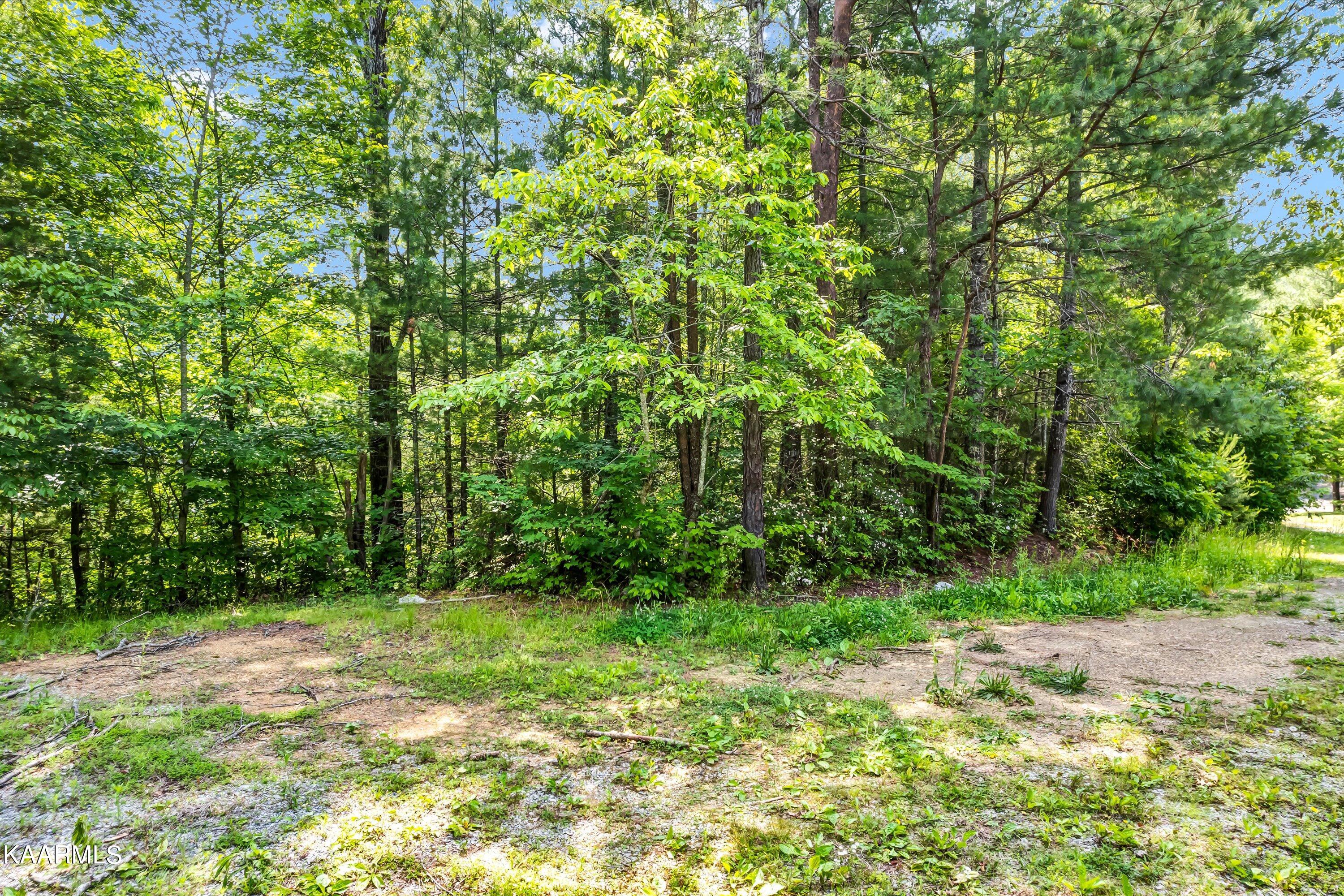 Lot 3 Clearview Road Sevierville, TN 37862 - Photo 2 of 11 02-Clearview Dr Lot 3-2