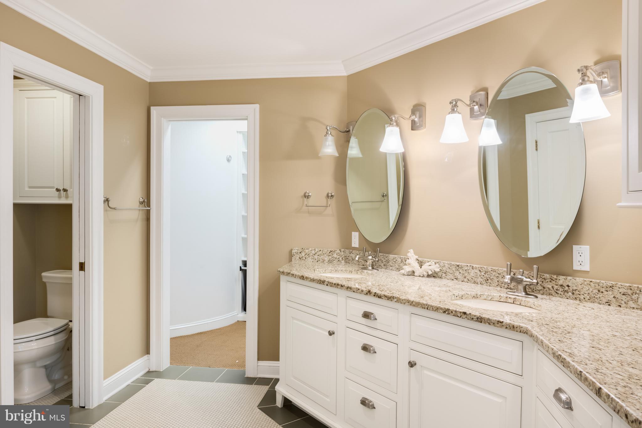 1202 Marinaview Drive Arnold, MD 21012 - Photo 15 of 26 a bathroom with a granite countertop sink a mirror and a shower