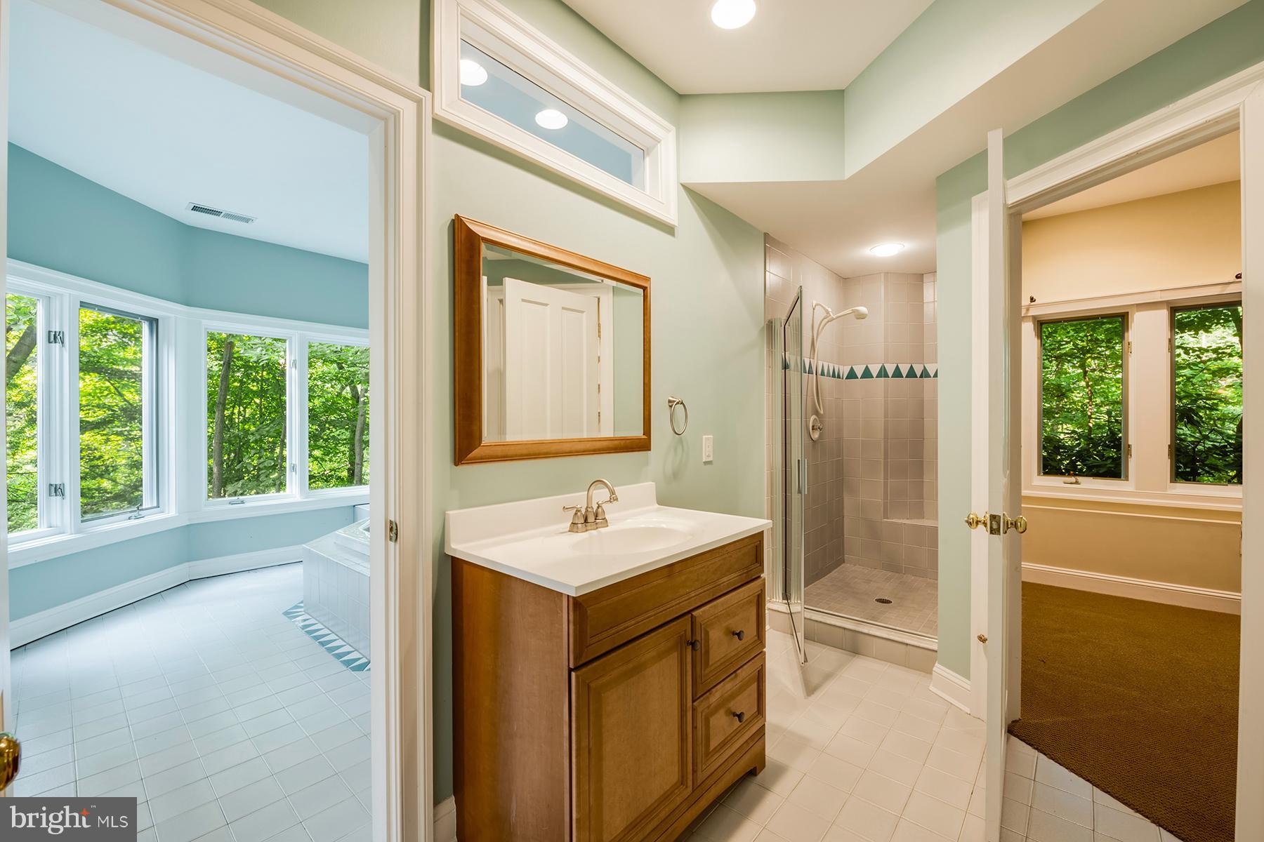 1202 Marinaview Drive Arnold, MD 21012 - Photo 23 of 26 a bathroom with a sink a mirror and a bathtub