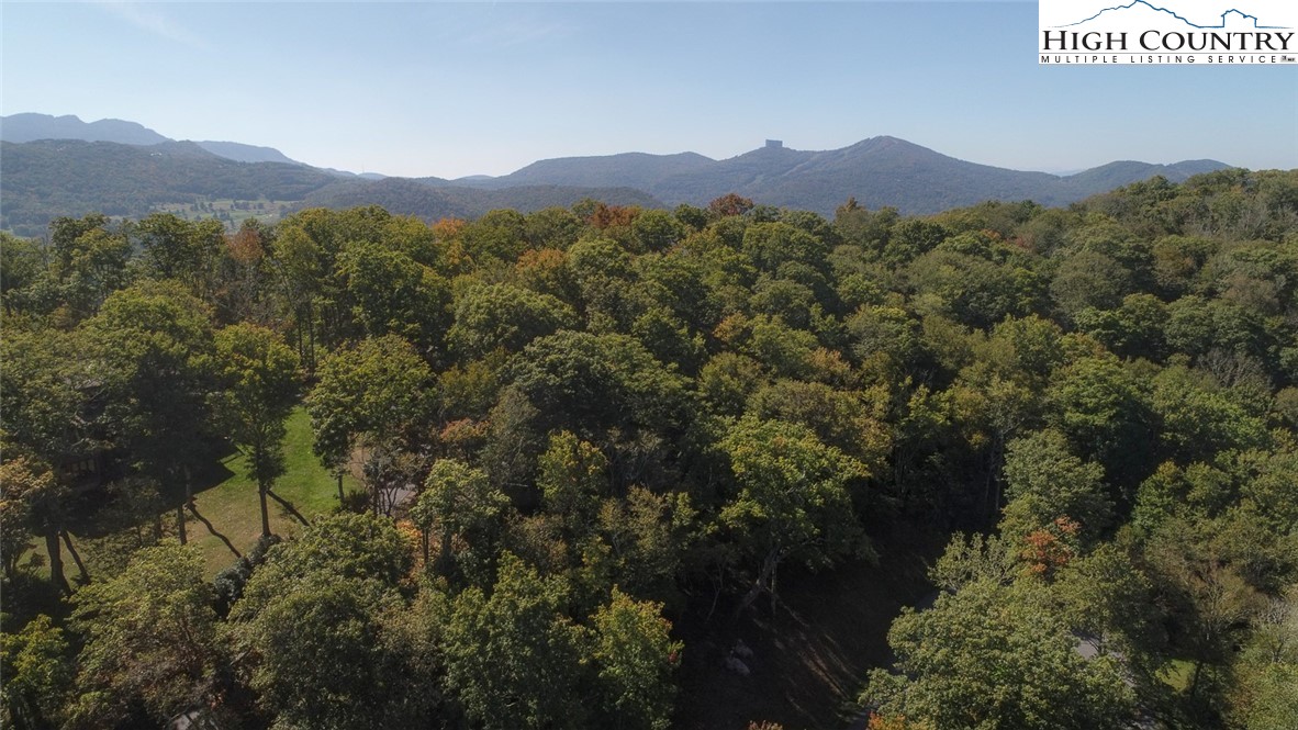 7 Finally Way Banner Elk, NC 28604 - Photo 15 of 26