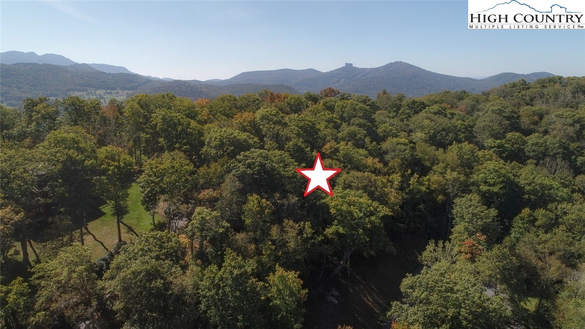 7 Finally Way Banner Elk, NC 28604 - Photo 16 of 26