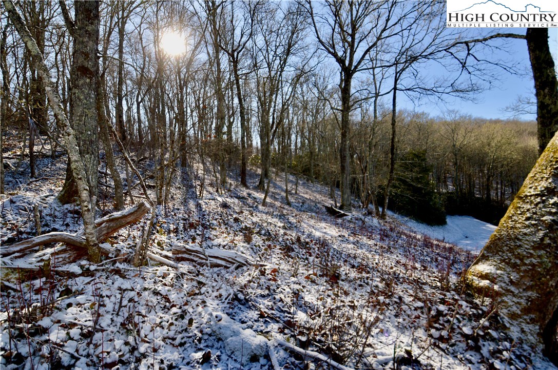 7 Finally Way Banner Elk, NC 28604 - Photo 2 of 26