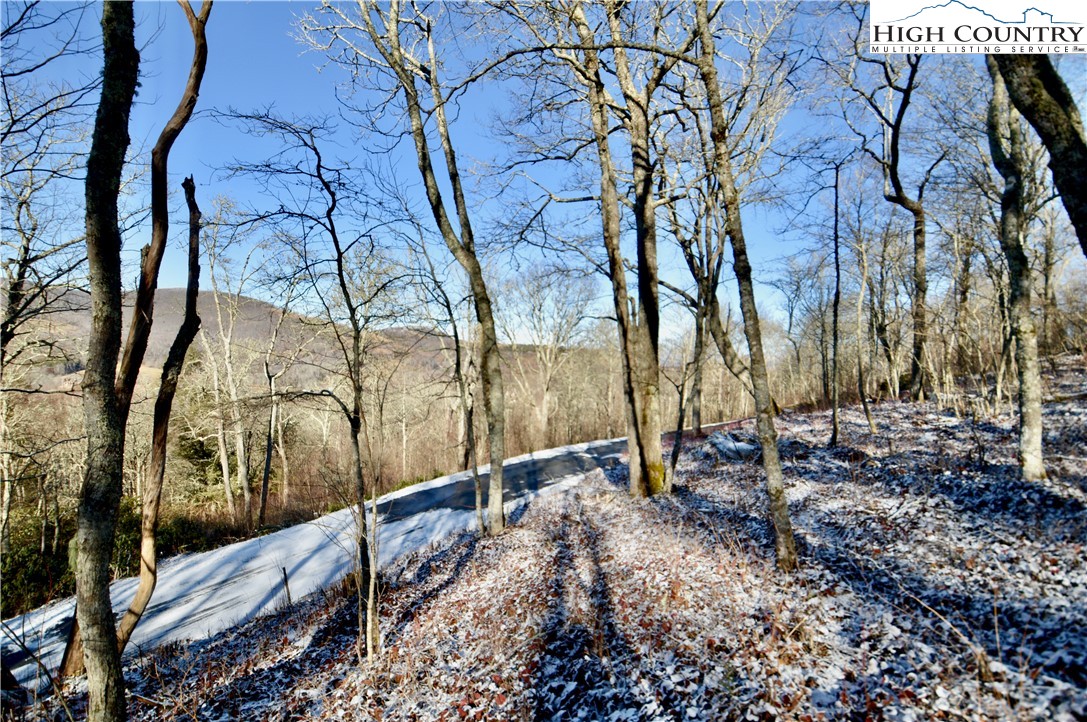 7 Finally Way Banner Elk, NC 28604 - Photo 3 of 26