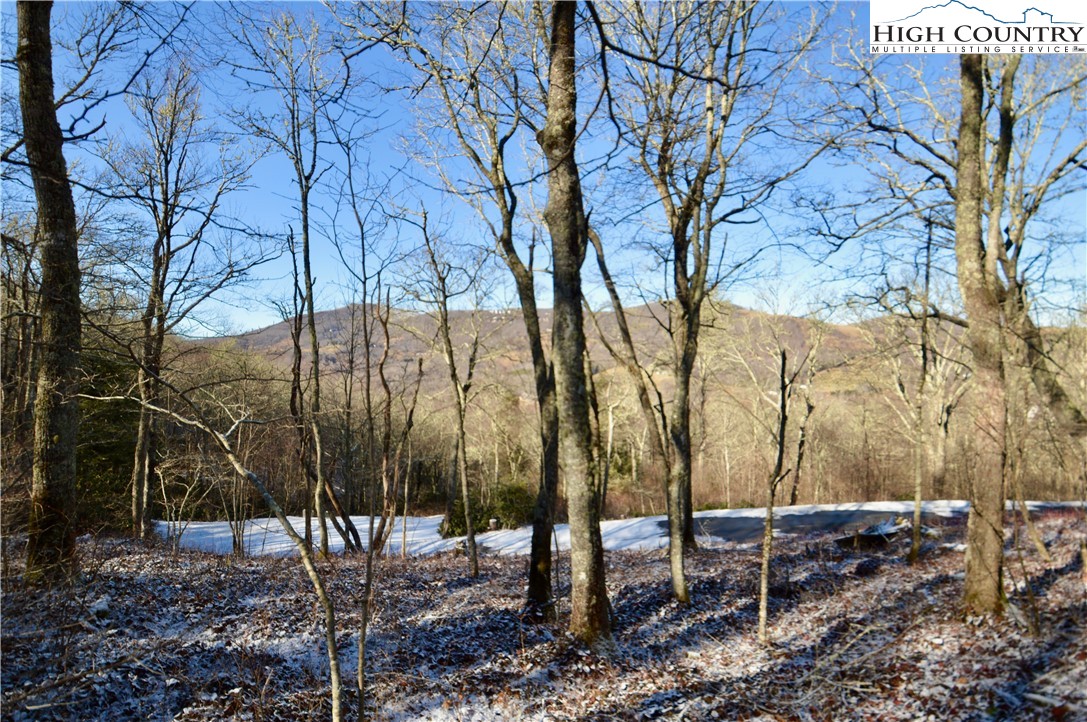 7 Finally Way Banner Elk, NC 28604 - Photo 4 of 26