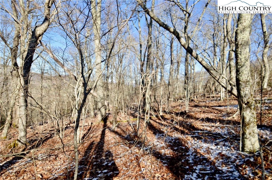 7 Finally Way Banner Elk, NC 28604 - Photo 5 of 26