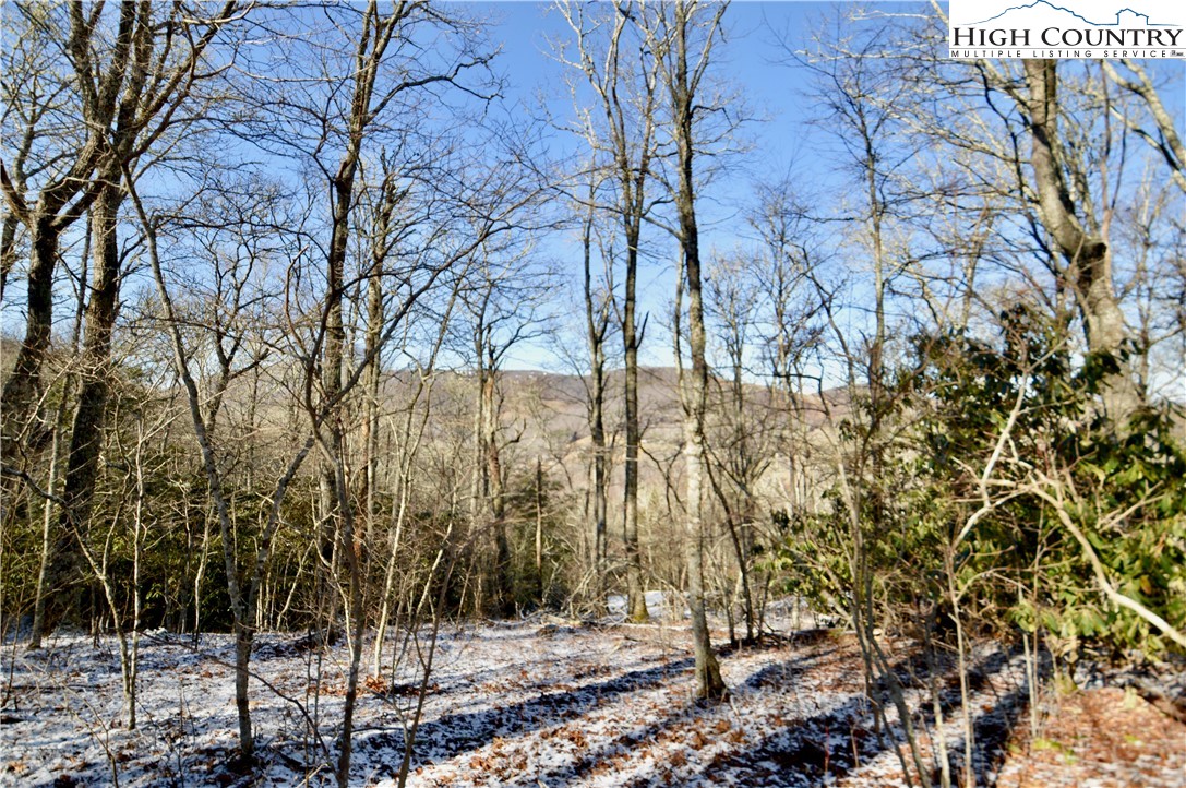 7 Finally Way Banner Elk, NC 28604 - Photo 6 of 26