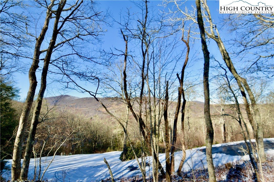 7 Finally Way Banner Elk, NC 28604 - Photo 7 of 26