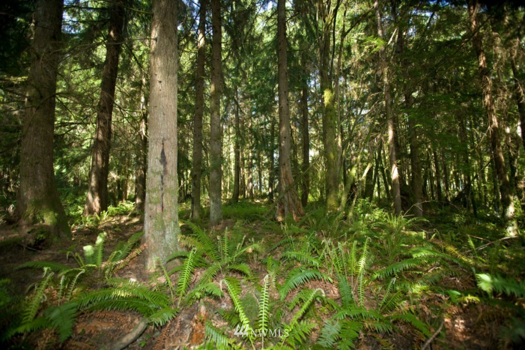 11 Skinner Road Granite Falls, WA 98252 - Photo 4 of 9