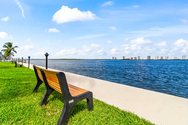 a view of a pathway with flower plants