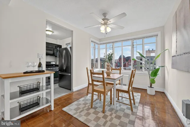a dining room with furniture a rug a potted plant and a chandelier