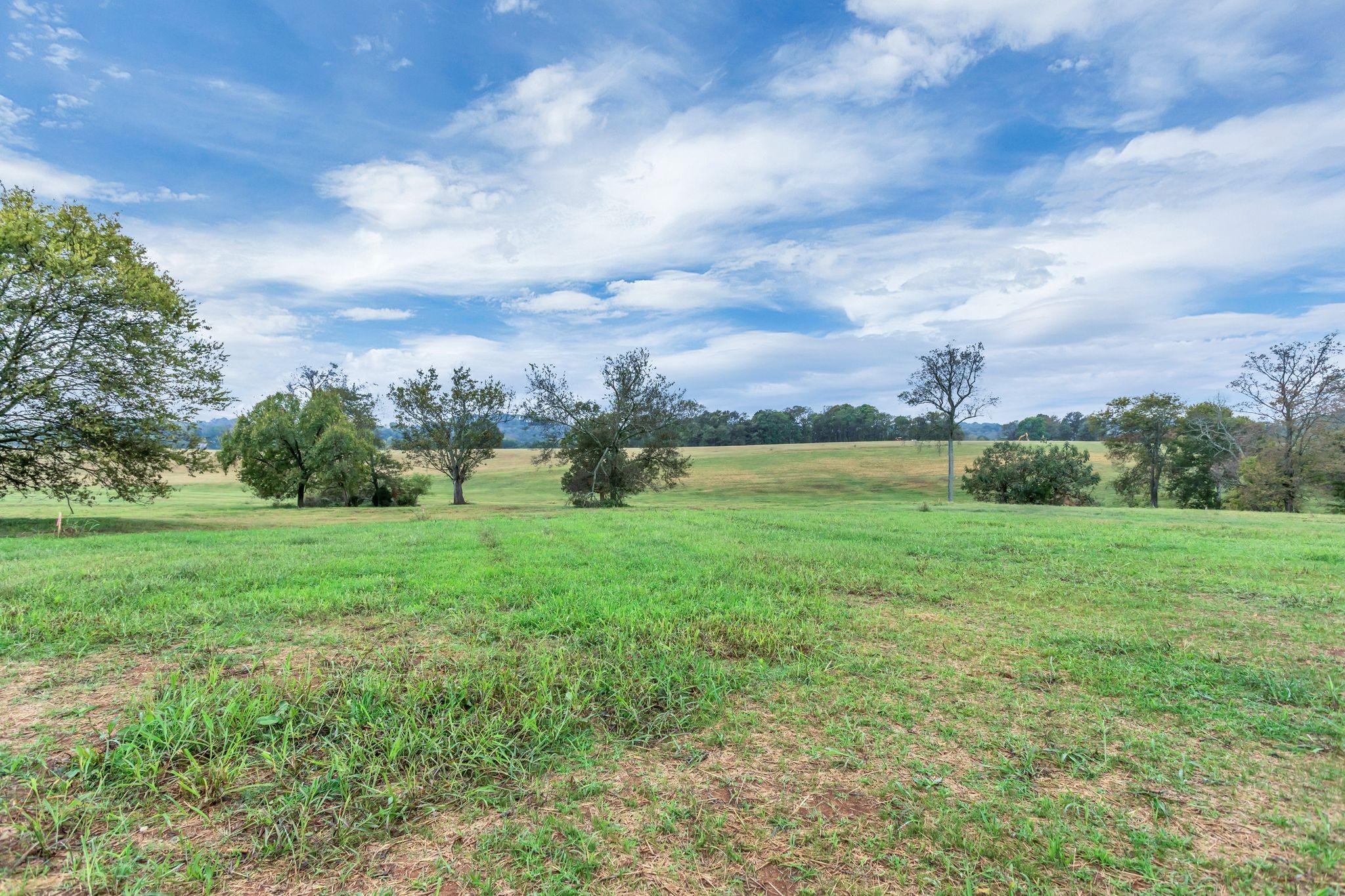 1581 John Sharp Road Spring Hill, TN 37174 - Photo 55 of 61