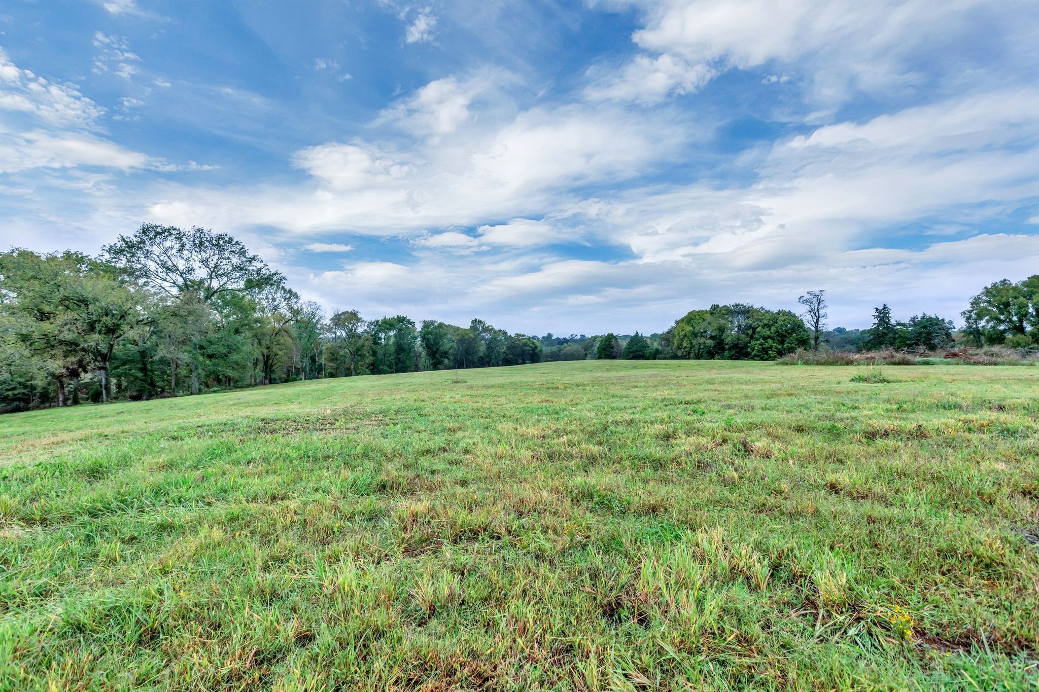 1581 John Sharp Road Spring Hill, TN 37174 - Photo 57 of 61